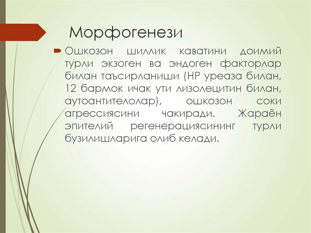 Морфогенези