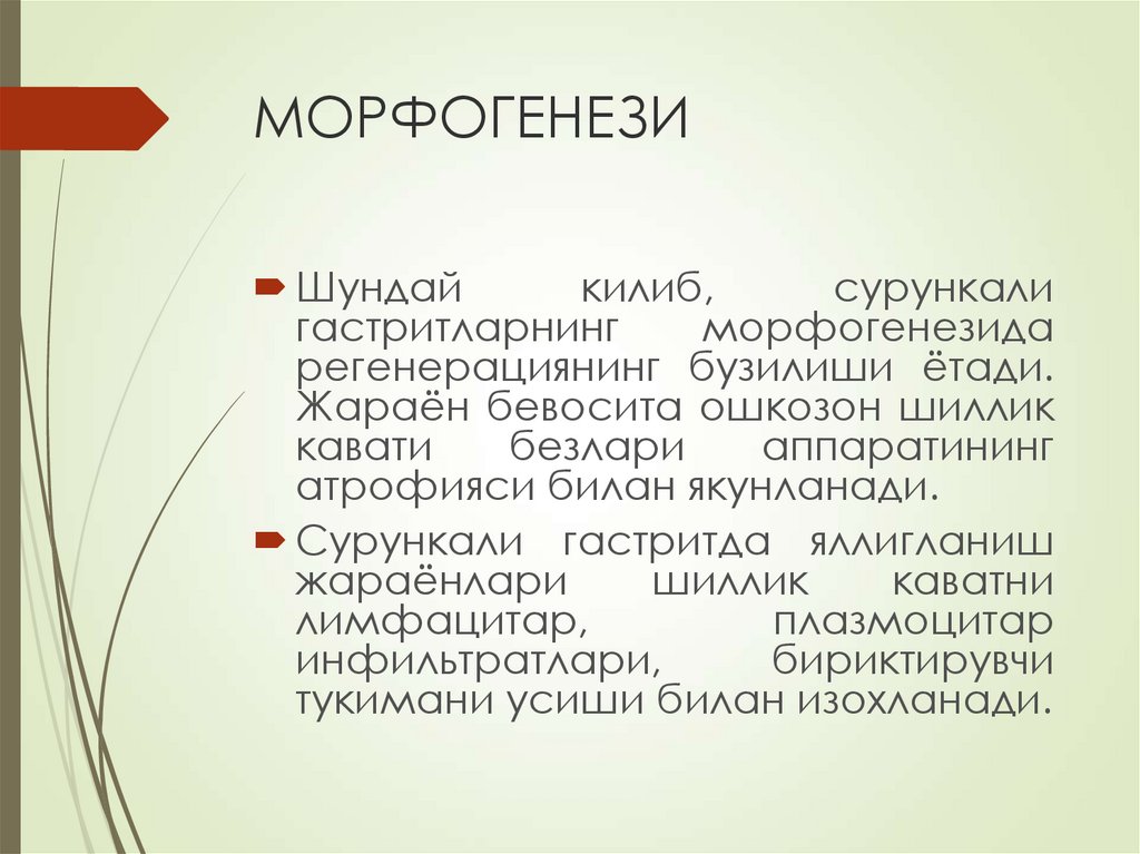МОРФОГЕНЕЗИ