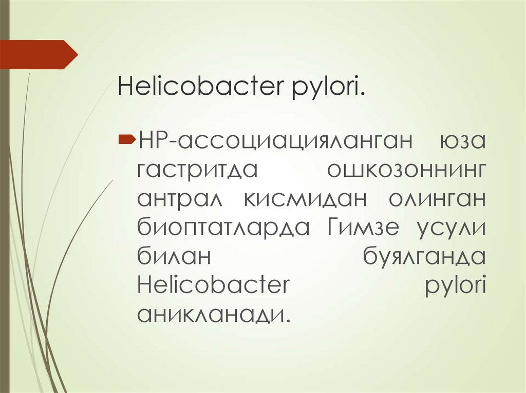 Helicobacter pylori.