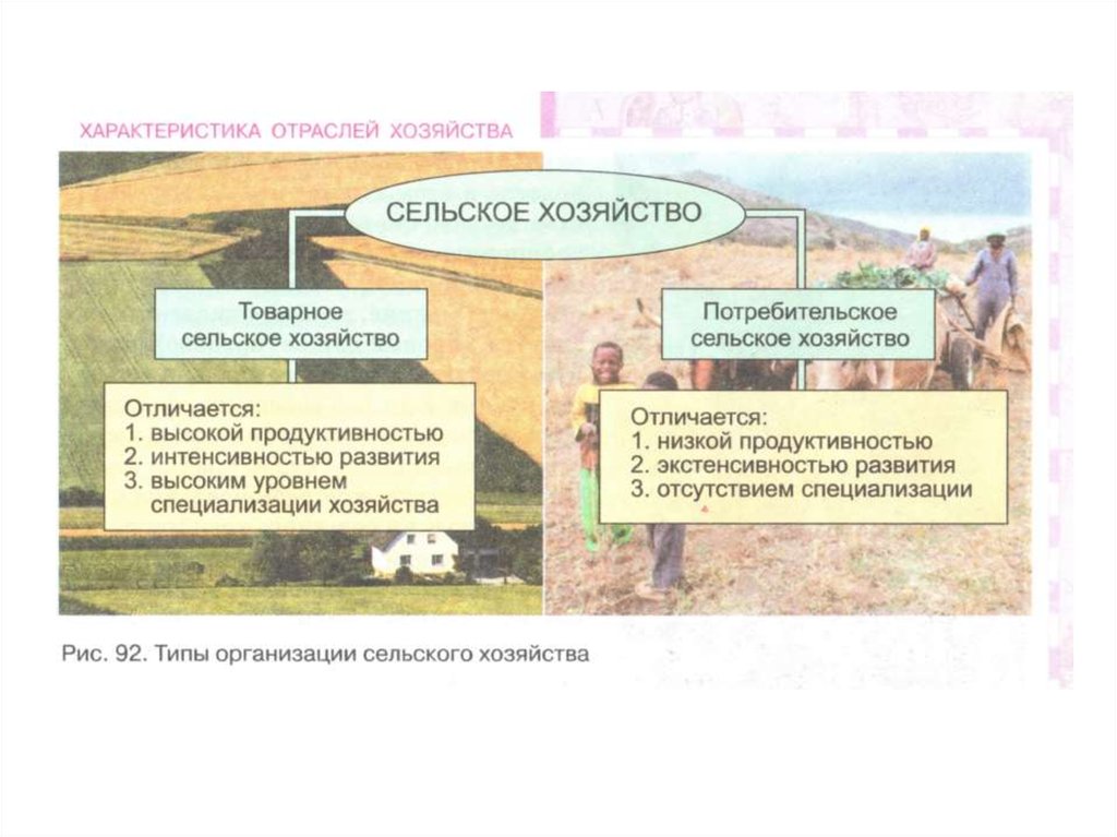 Характеристика сельского. Сельское хозяйство мира. Общая характеристика сельского хозяйства мира. Характеристика сельского хозяйства. Охарактеризуйте сельское хозяйство.