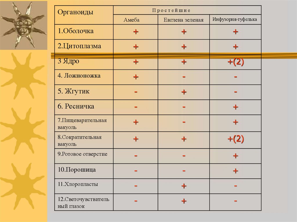 Сходство простейших. Таблица амеба инфузория. Таблица амебы и эвглены. Амеба сравнительная характеристика. Таблица органоиды движения амеба обыкновенная.