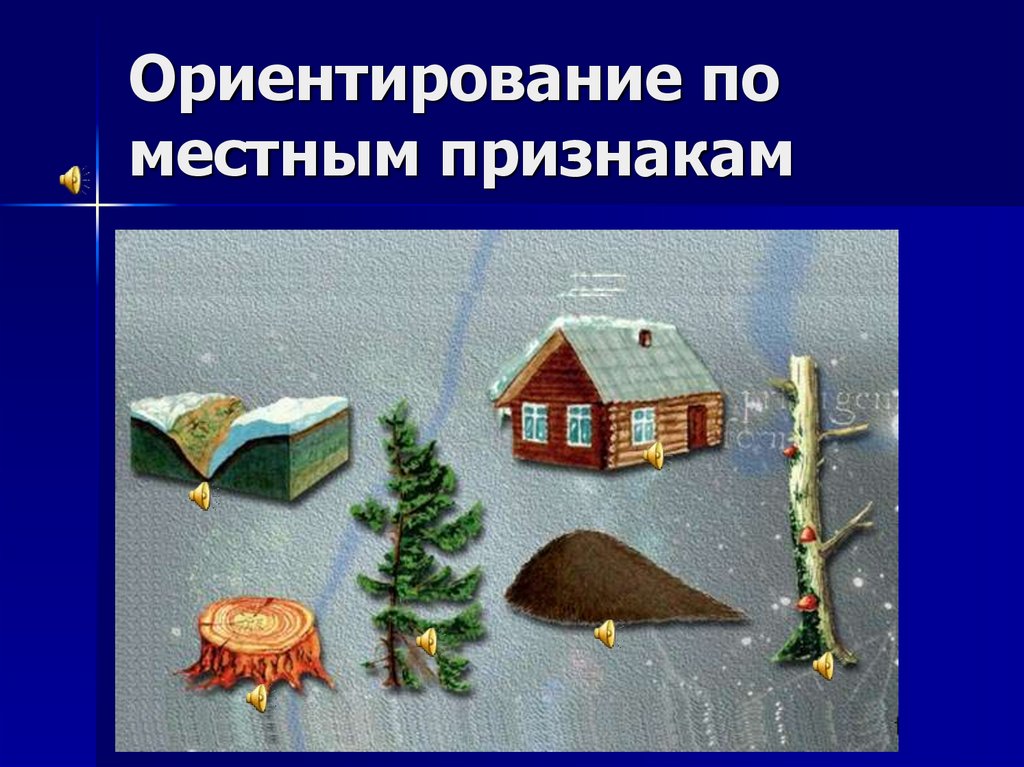 Ориентирование на местности презентация 2 класс презентация