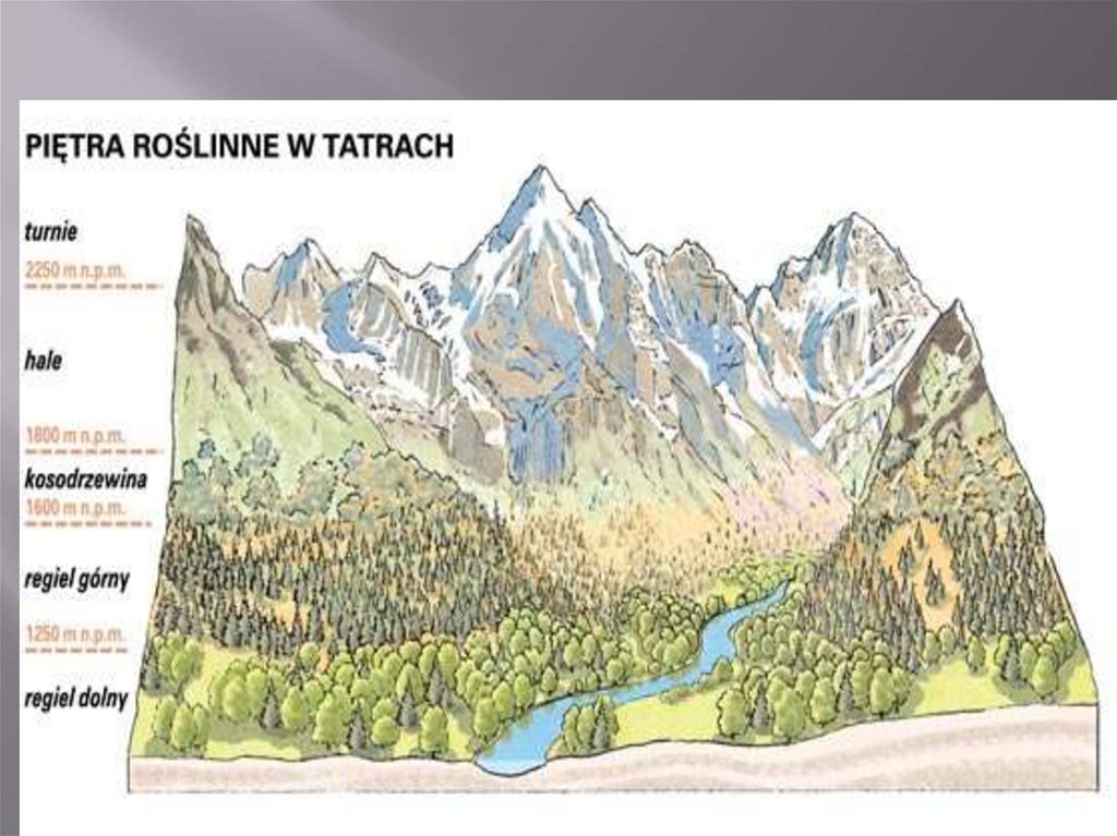 Krajobraz Wysokog rski Tatr Online Presentation