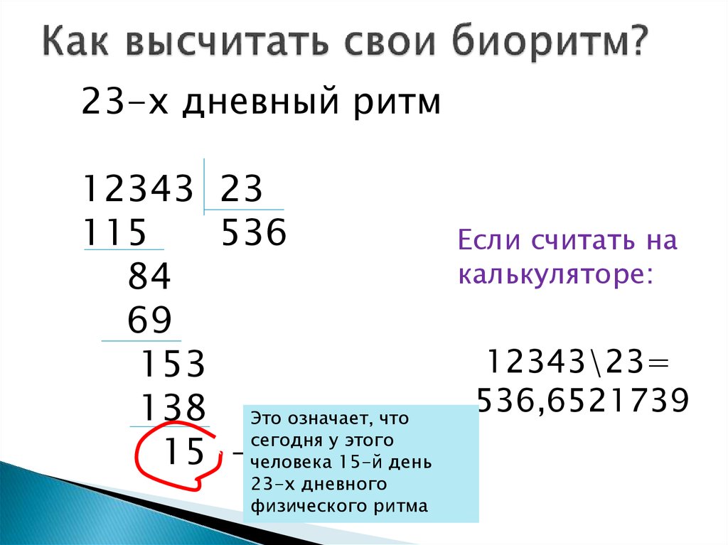 Биоритм кольчугино телефон