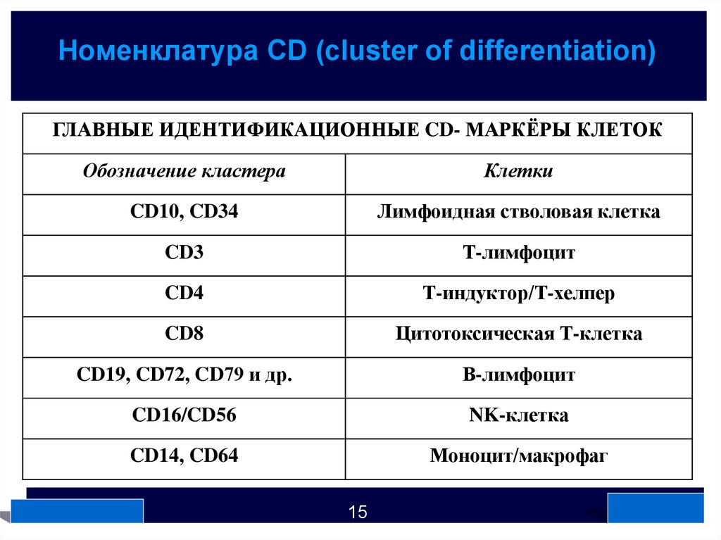 T cluster. Номенклатура кластеров дифференцировки (CD).. Кластеры дифференцировки CD таблица. Маркеры кластеров дифференцировки лимфоцитов. Кластеры дифференцировки CD иммунология.