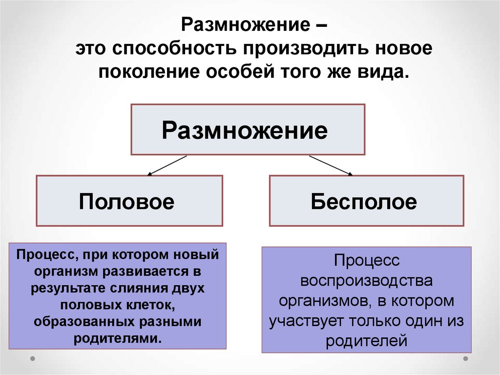 Поколений особей. Способность к самовоспроизведению.бесполое и половое размножение. Самовоспроизведение у папоротников. Тип размножения в котором участвует только одна родительская особь. Бесполое размножение в результате слияния.