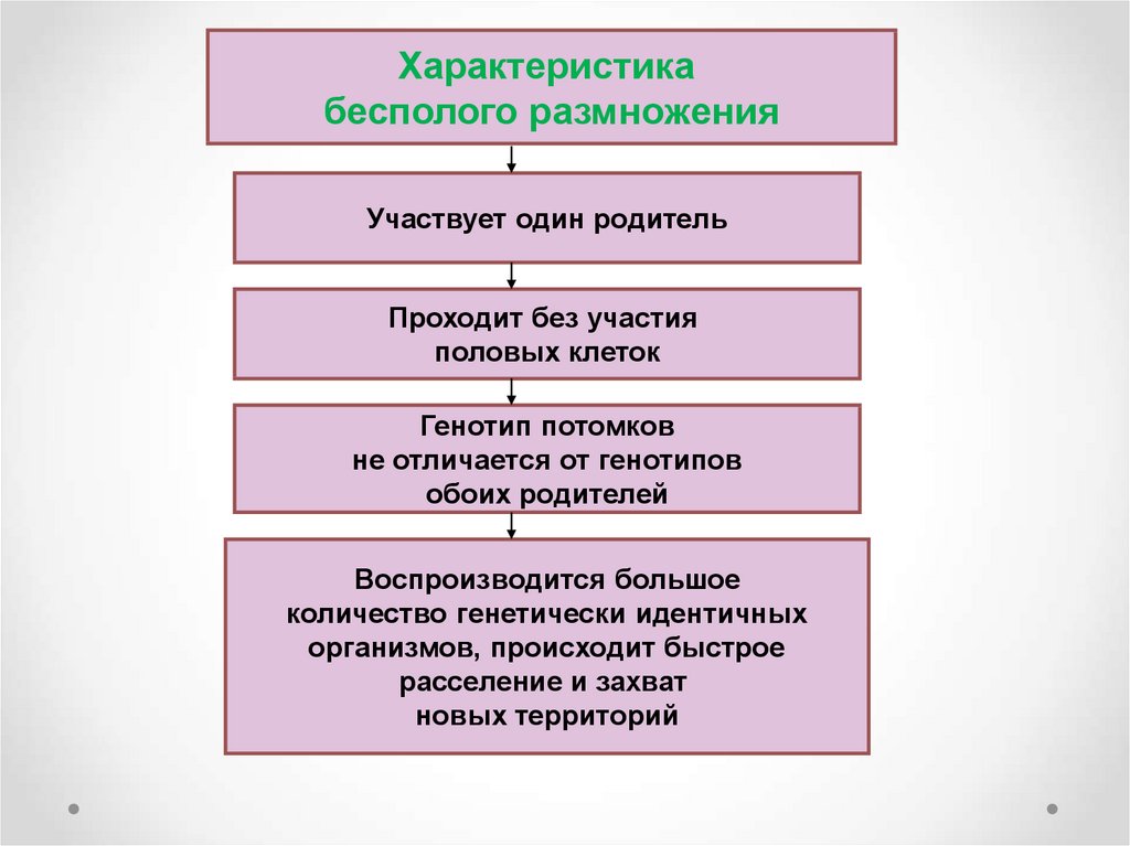 Как происходит бесполое размножение