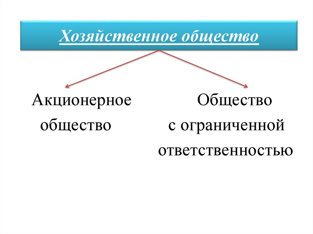 Ответственность хозяйственного общества. Акционерное общество и общество с ограниченной ОТВЕТСТВЕННОСТЬЮ. Акционерное общество ответственность. Акционерным обществом является хозяйственное общество.