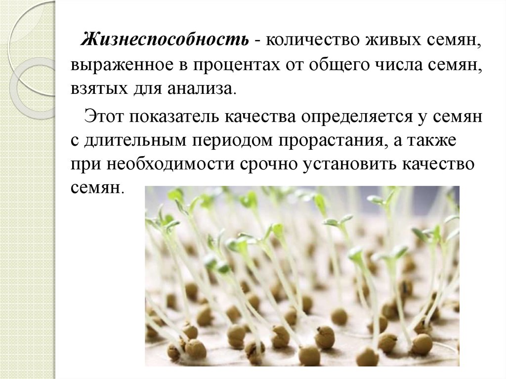 По каким показателям определяют жизнеспособность семян. Жизнеспособность семян. Показатели качества семян. Оценка жизнеспособности семян. Определение качества семян.