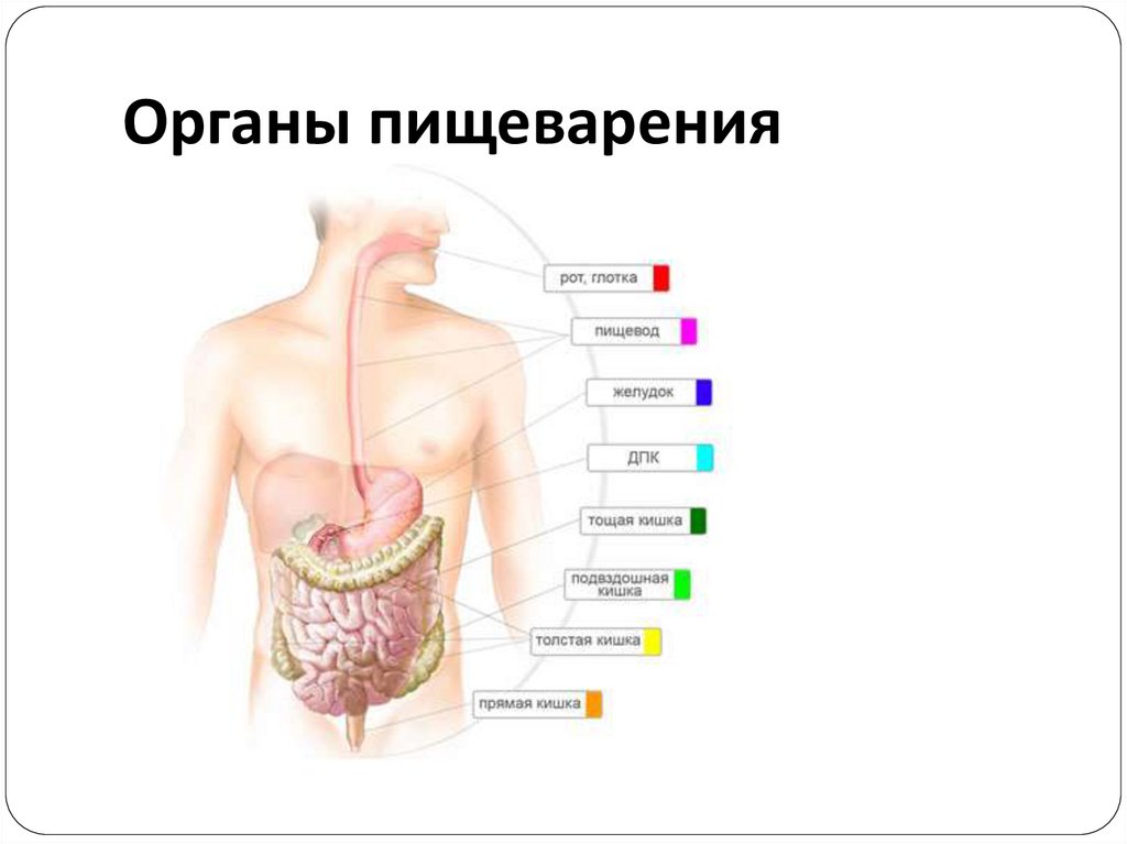 Заболевание систем органов