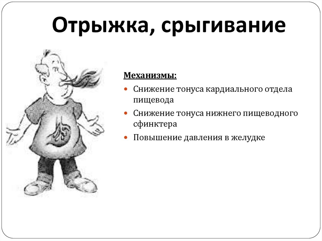 Частая отрыжка. Отрыжка. Механизм отрыжки. Механизм развития отрыжки. Отрыжка механизм возникновения.