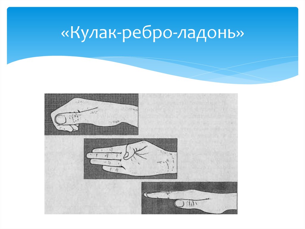 Кулак ребро ладонь. Кулак ребро ладонь картинки. Схема кулак ребро ладонь. Колечко кулак ребро.