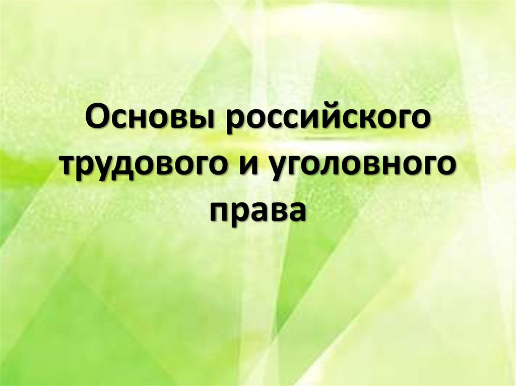 Основы российского законодательства презентация