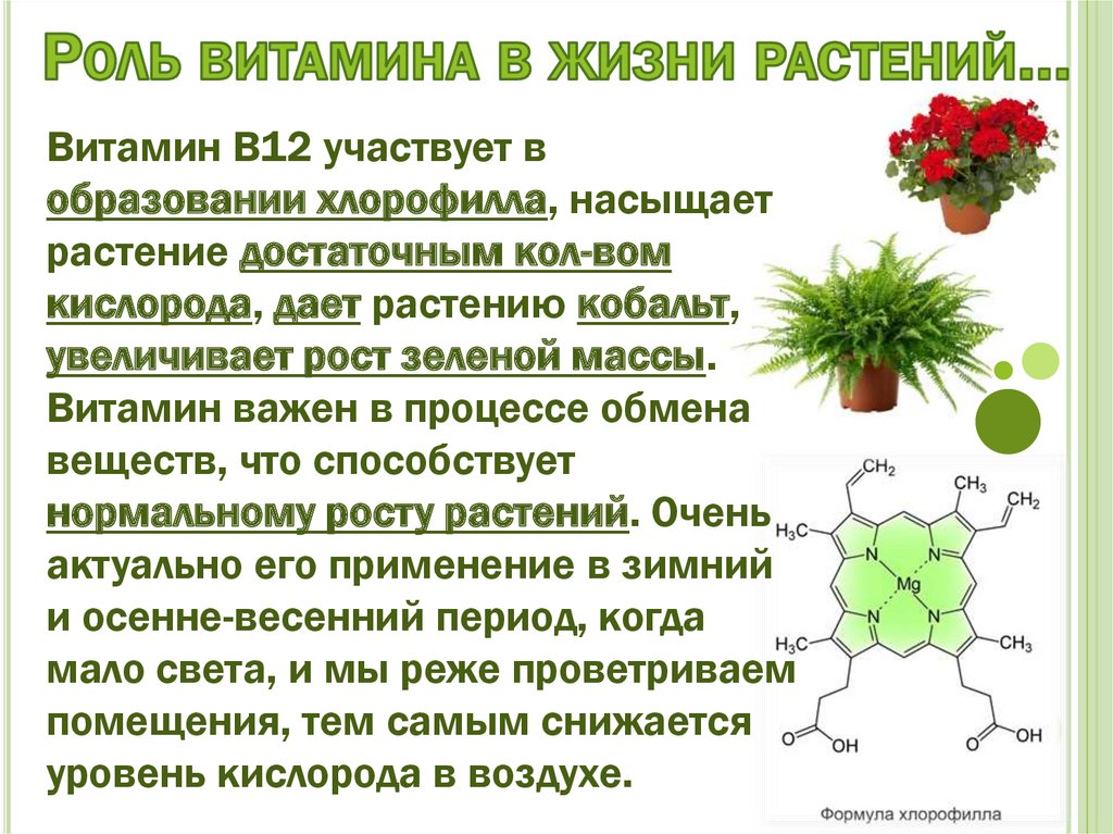 Витамин б 12 применение. Витамины для растений. Витамин как в12. Витамин в12 показания. Витамин в12 реакция организма.