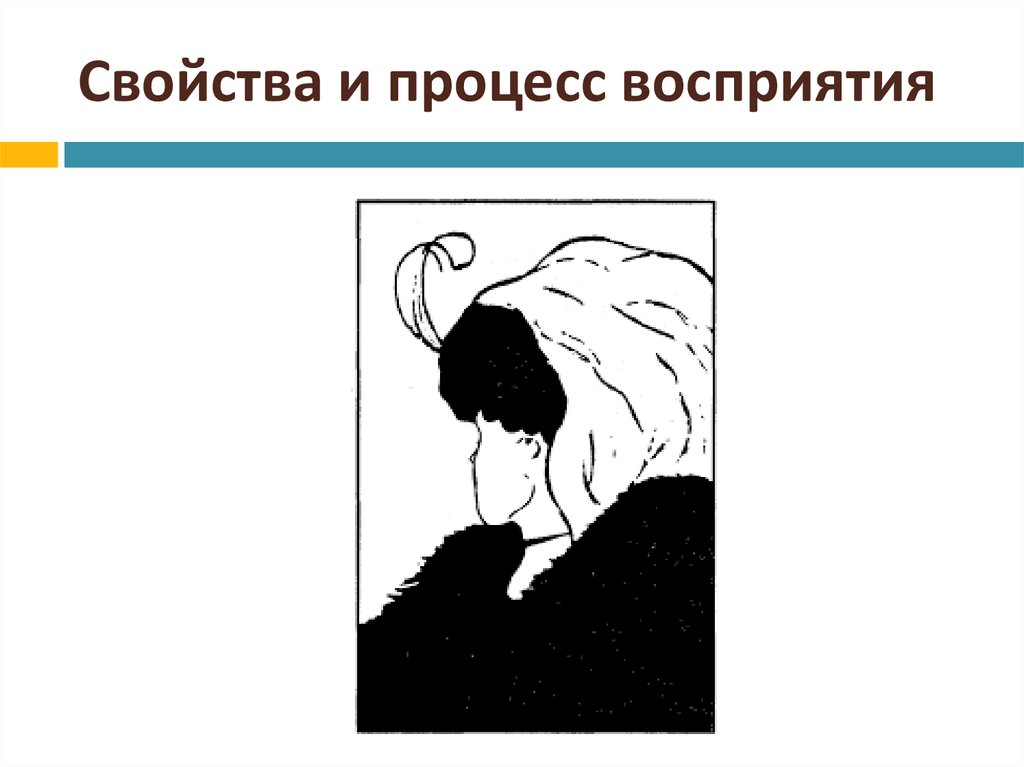 Как называется свойство восприятия позволяющее увидеть то что изображено на картинке