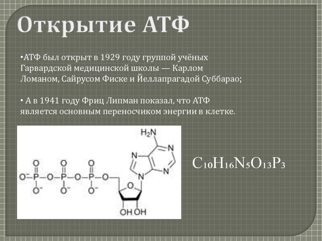Входит в состав атф элемент. Аденозинтрифосфорная кислота функции. Функции аденозинтрифосфорной кислоты. Функции молекулы АТФ. Химическая структура АТФ.