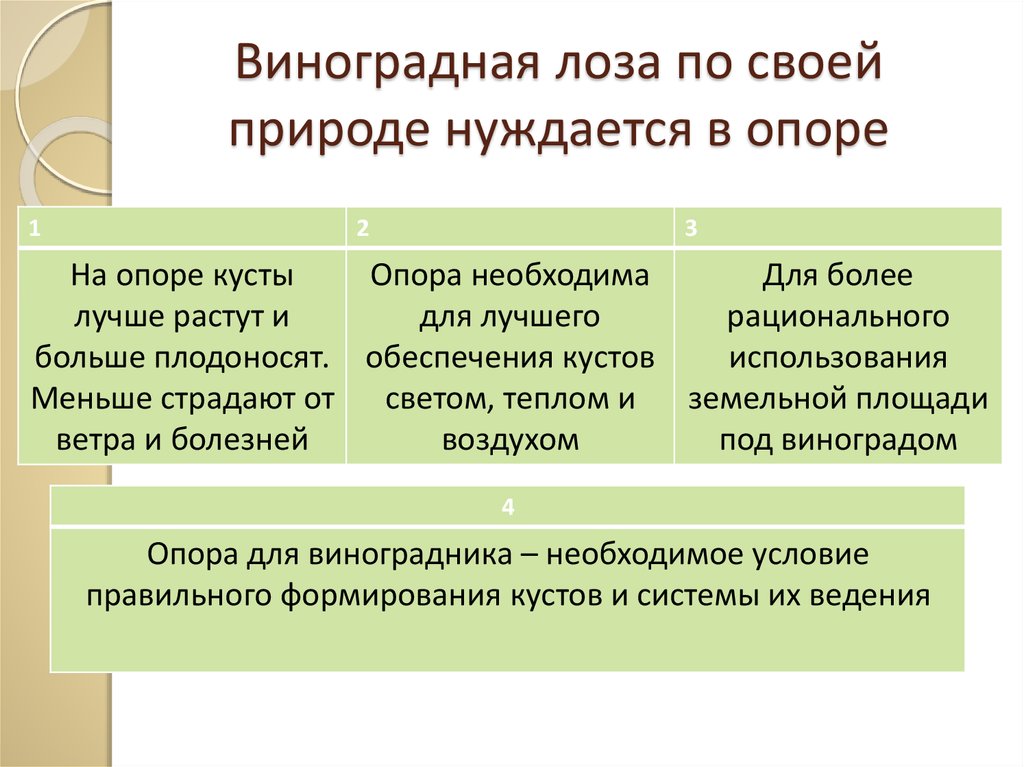 Виноградная лоза по своей природе нуждается в опоре