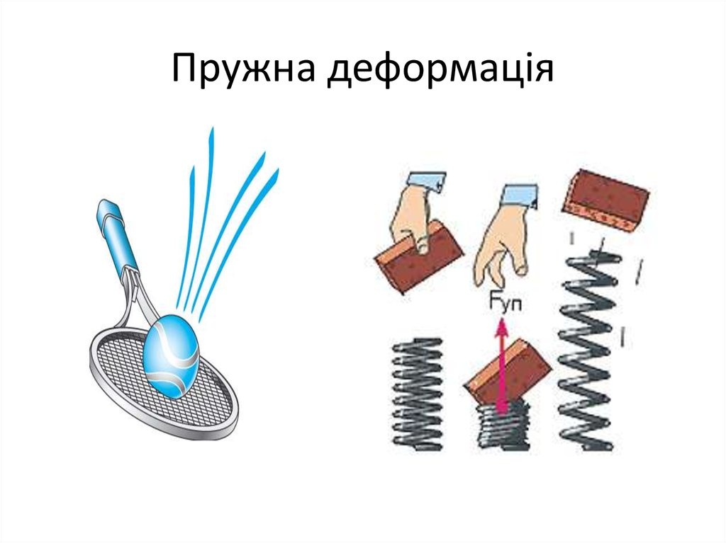 Сила упругости рисунок. Сила упругости примеры. Изображение силы упругости. Сила упругости иллюстрация. Деформация тела это в физике.