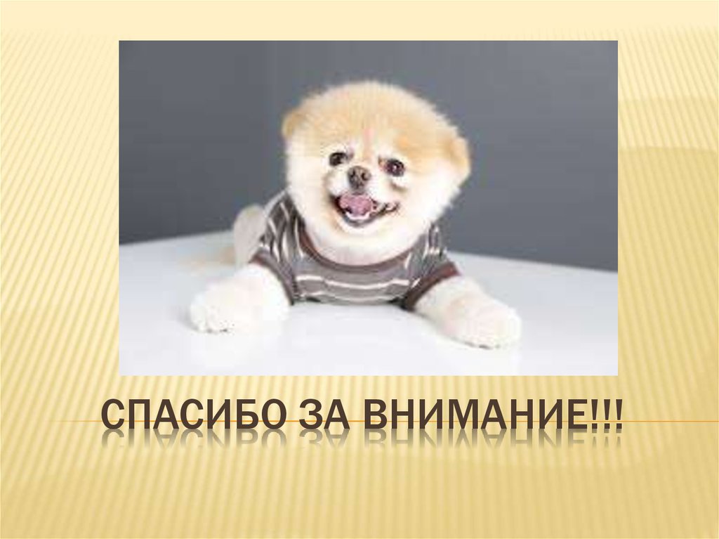 СПАСИБО ЗА ВНИМАНИЕ!!!