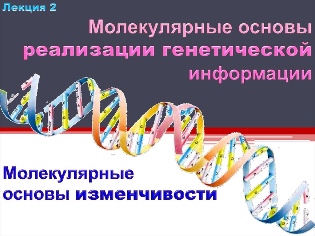 Молекулярные процессы расщепления презентация 11 класс пономарева