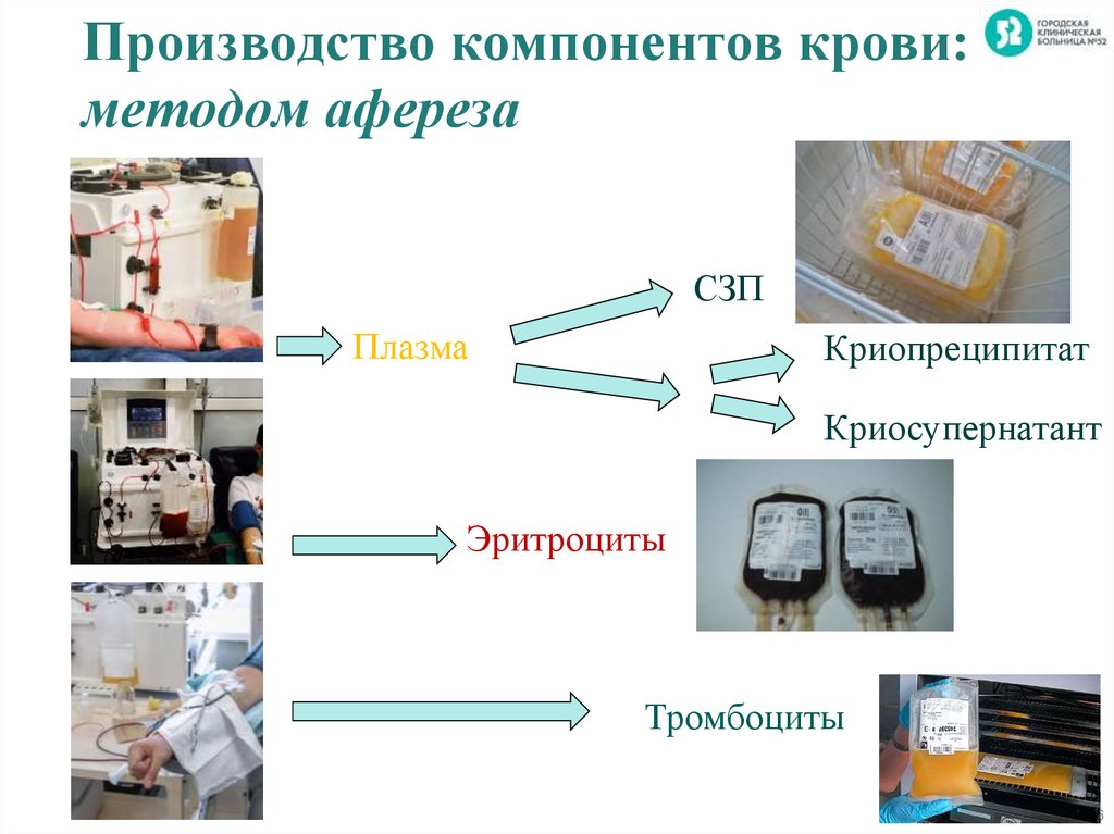 Компоненты производства. Донации методом афереза. Метод афереза плазмы. Доноры плазмы методом афереза.