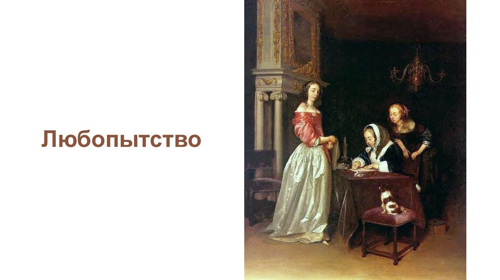 Любопытство