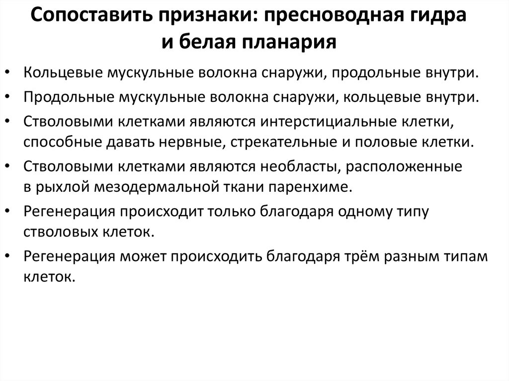 Сравнительная таблица пресноводной гидры и белой планарии. Гидра и планария сходства и различия. Сравнительная характеристика пресноводной гидры и белой планарии. Черты сходства и отличия пресноводной гидры и белой планарии. Сравнительная характеристика гидры и планарии.