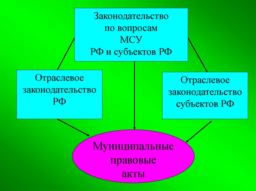 Устав муниципального самоуправления. Отраслевое законодательство. Система отраслевого законодательства федеральные законы. Субъекты отраслей законодательства это. Отраслевое законодательство фото.