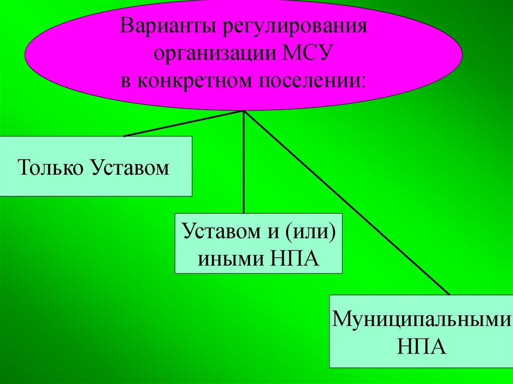 Регулирующие организации