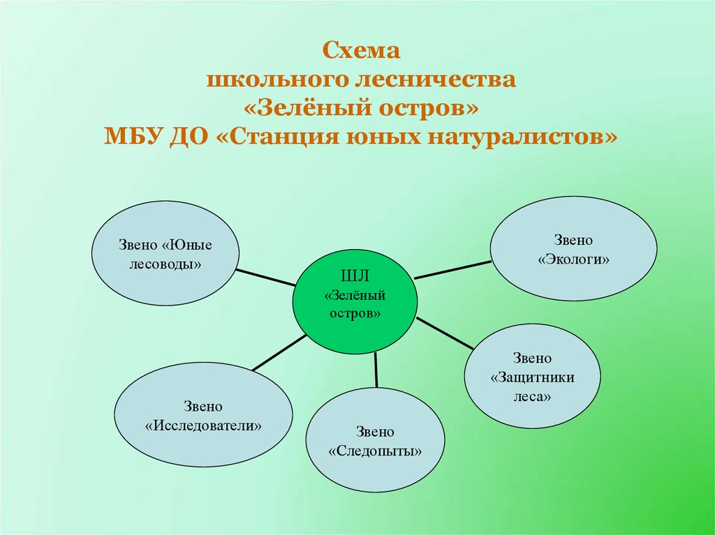 Школьник схема. Социальные партнеры школьного лесничества. Модель социального партнерства школьного лесничества. Направления работы школҗного лесничества схема. Структура организации школьного лесничества.