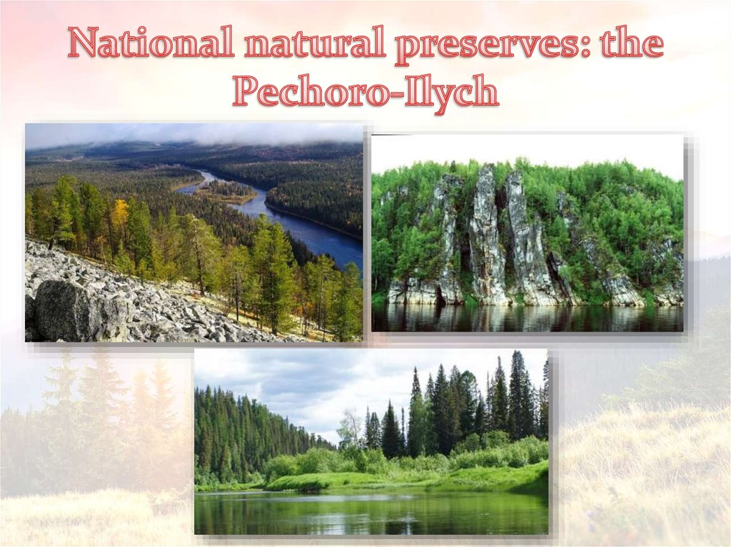 National natural preserves: the Pechoro-Ilych