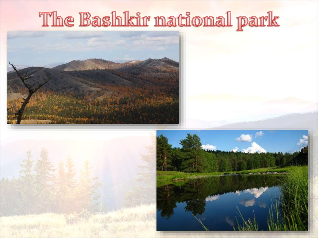 The Bashkir national park