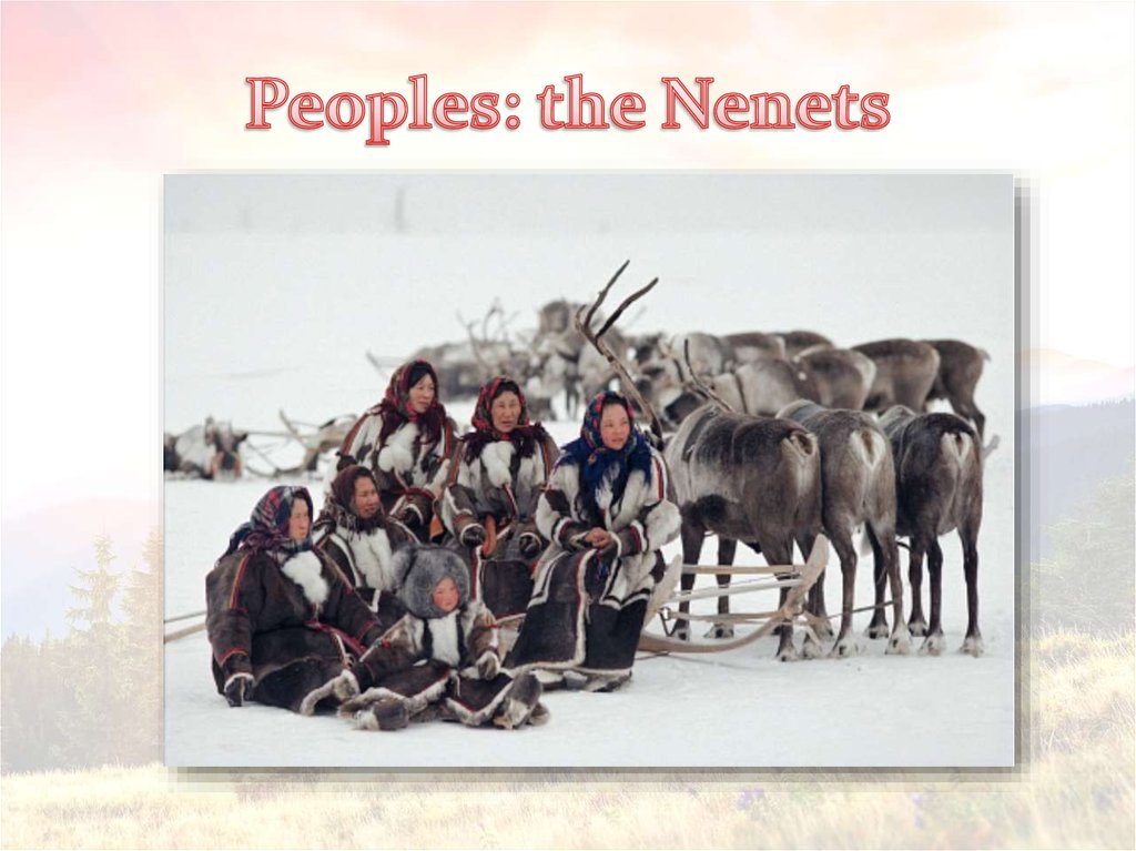 Peoples: the Nenets