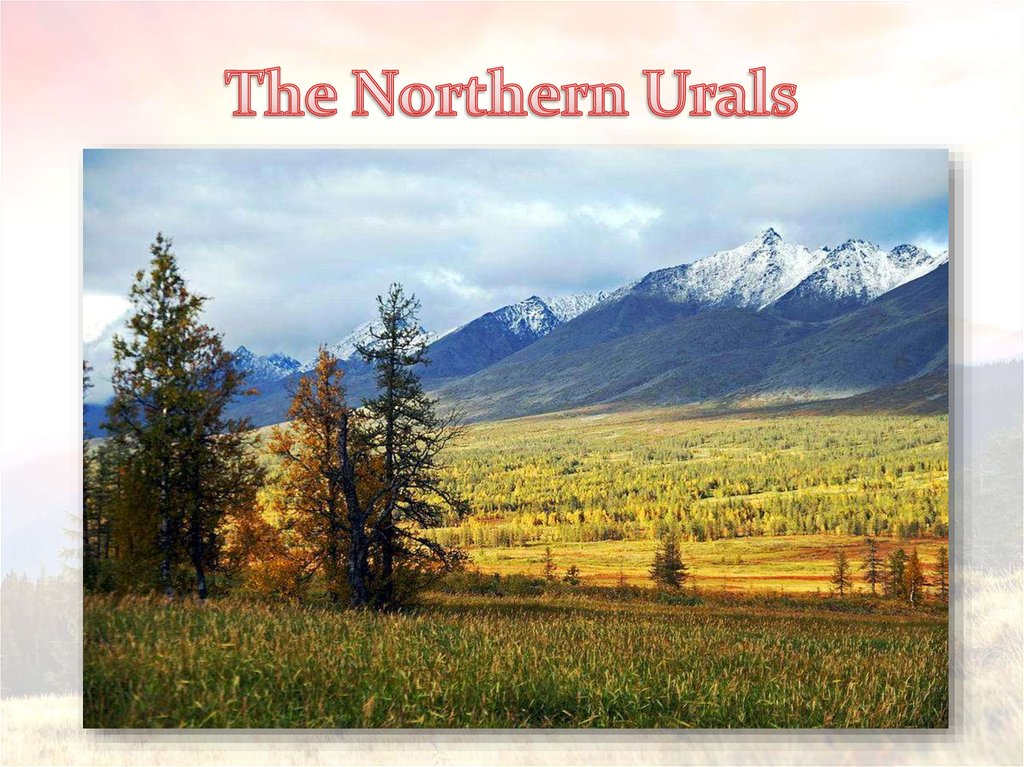 The Northern Urals