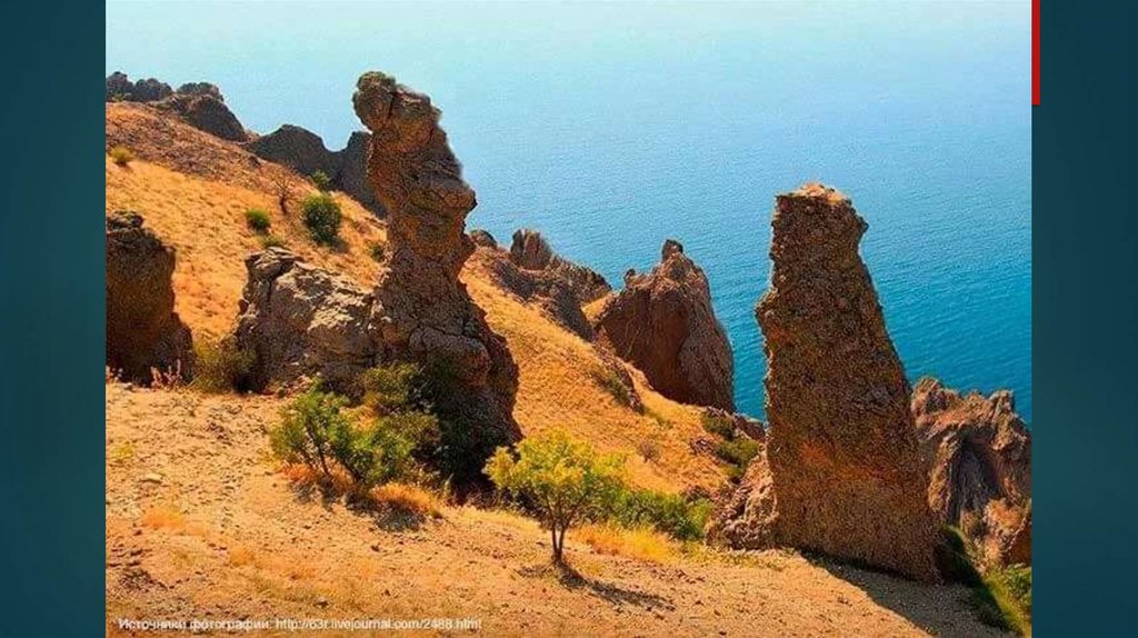 Карадагский заповедник презентация