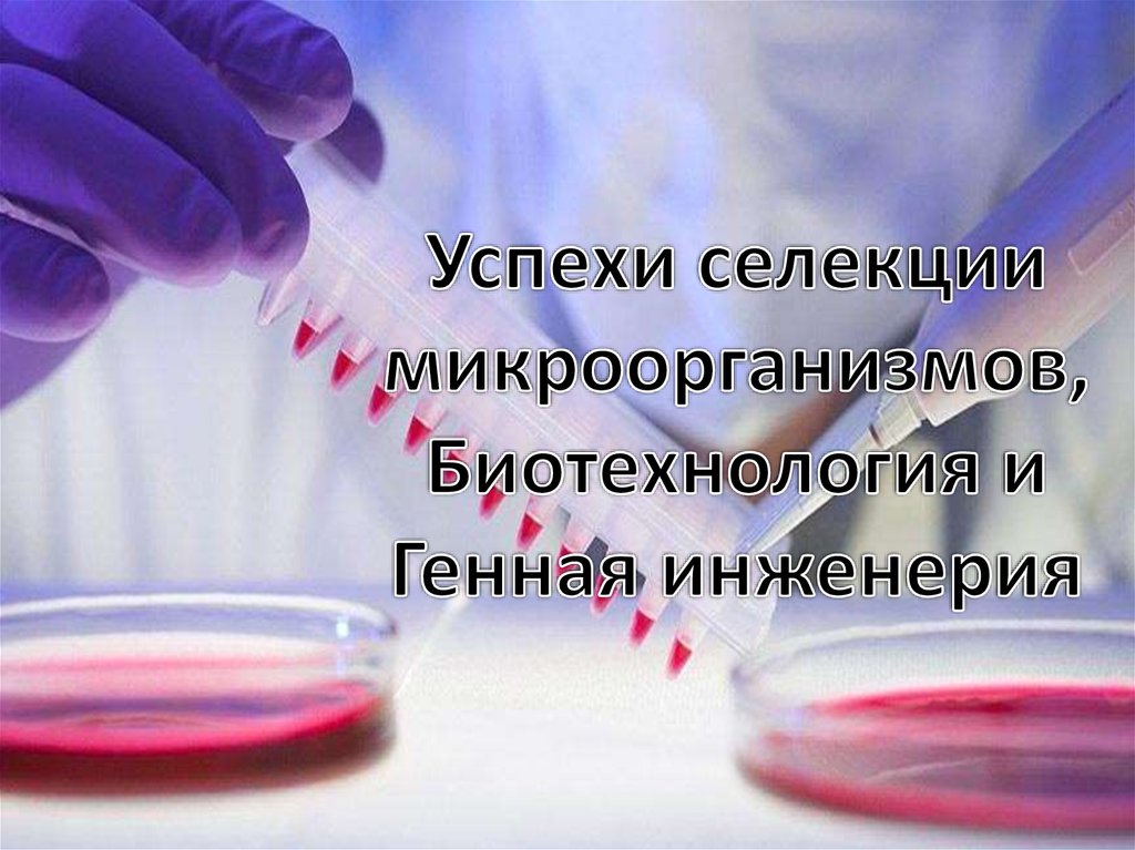 Успехи селекции презентация 10