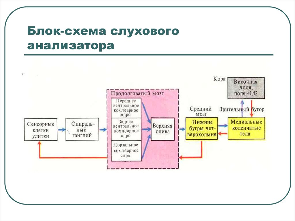 Схема сенсорной системы