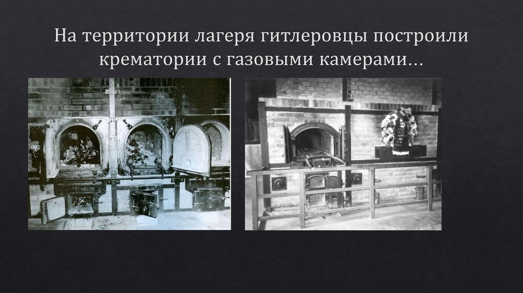 На территории лагеря гитлеровцы построили крематории с газовыми камерами...