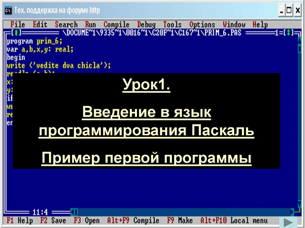 Презентация про язык программирования паскаль