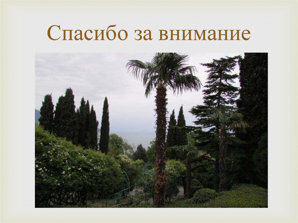 Спасибо за внимание