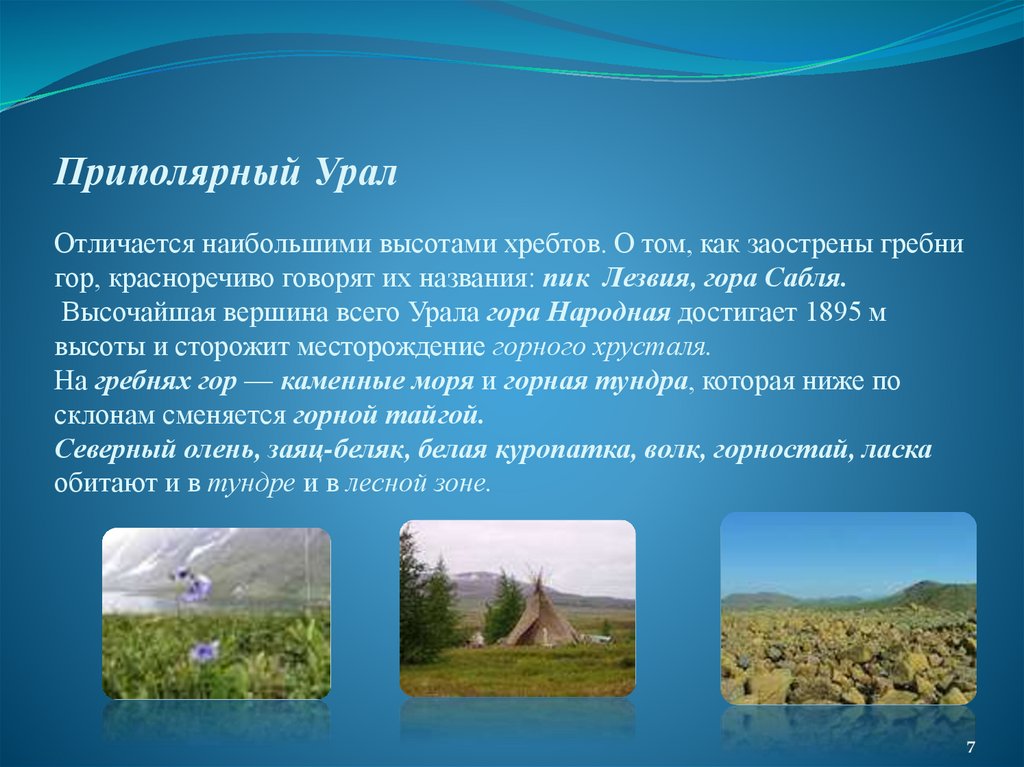 Приполярный Урал Отличается наибольшими высотами хребтов. О том, как заострены гребни гор, красноречиво говорят их названия: