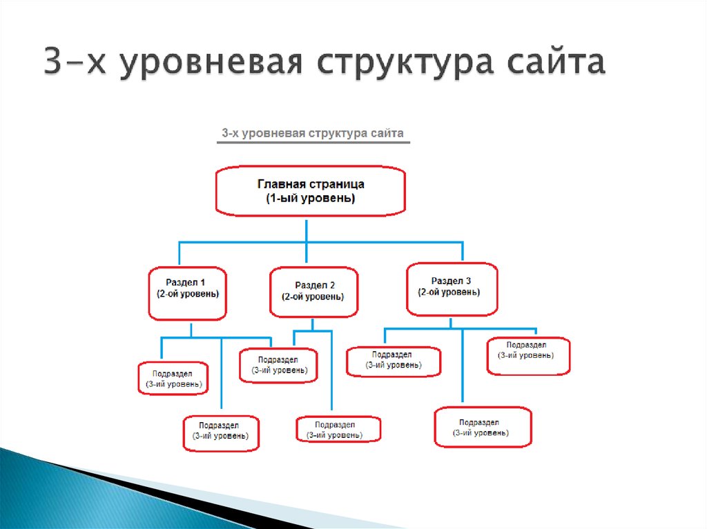 Иерархическая структура сайта картинка