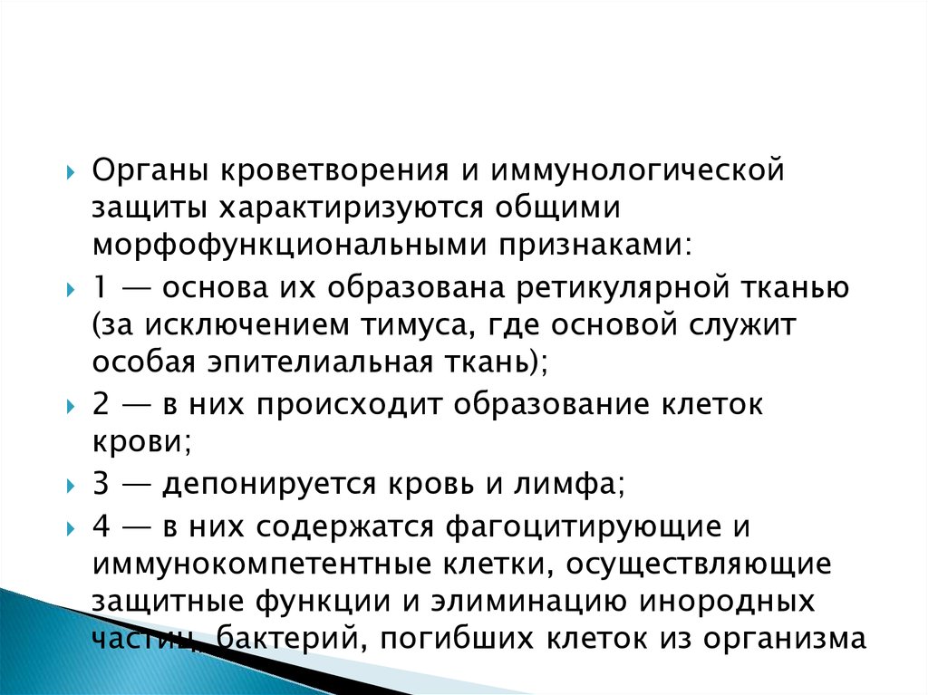 Доклад по теме Общая характеристика органов кроветворения и иммунологической защиты 