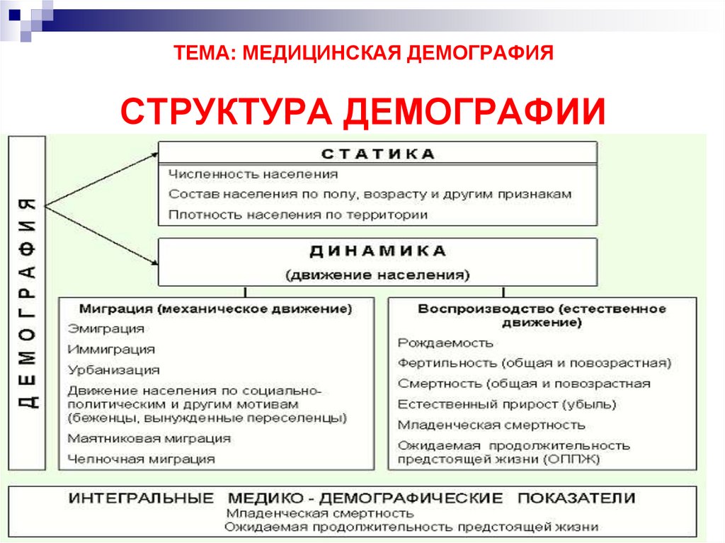 К демографической структуре относится