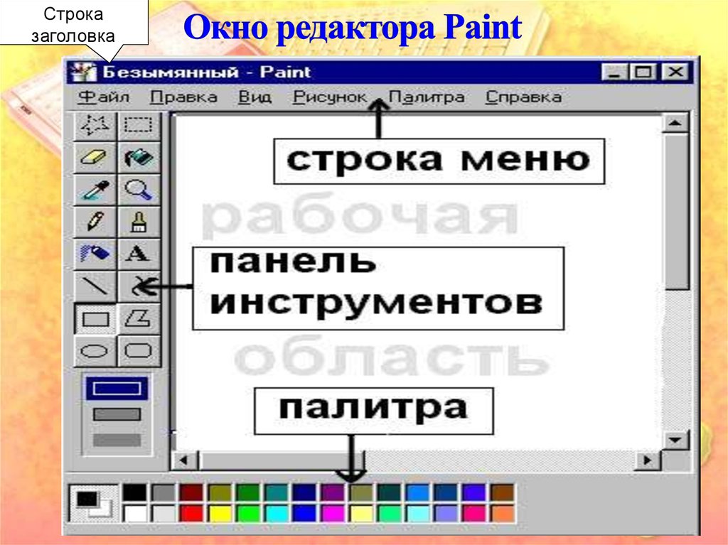 Редактор paint. Панель инструментов паинт. Панель графического редактора Paint. Paint кнопки панели инструментов. Окно редактора Paint.