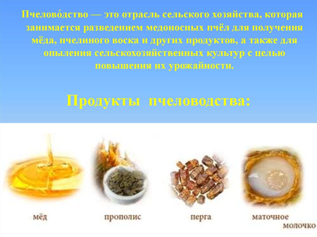 Схема продукты пчеловодства