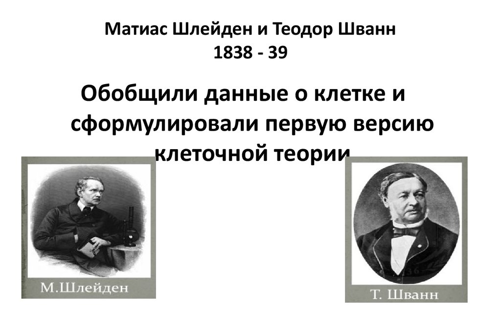 Презентация клеточная теория шлейдена и шванна и шлейдена