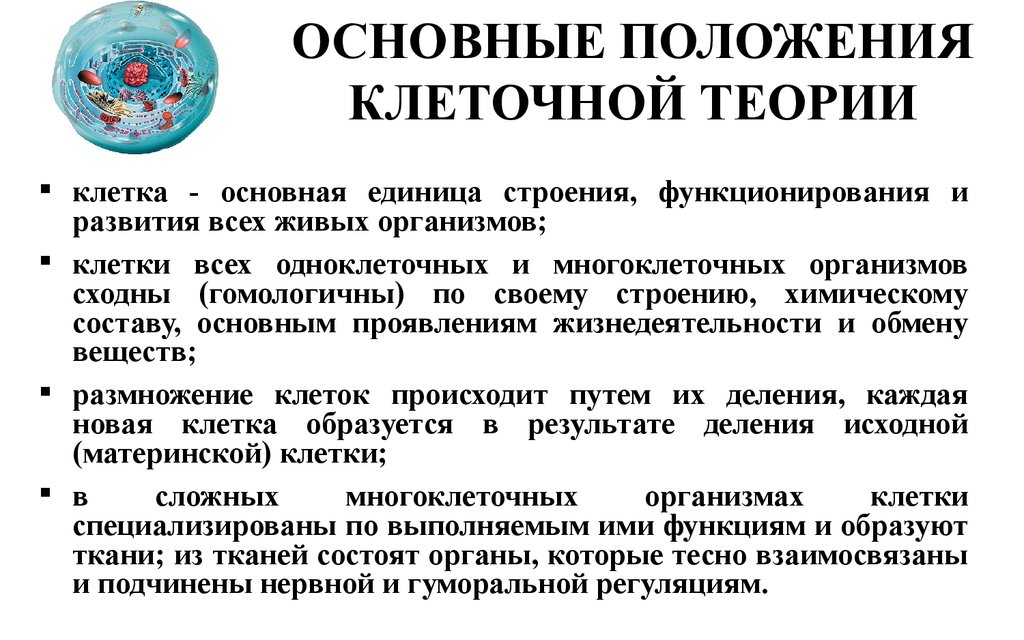 Клетка является функциональной единицей живого приведите доказательства