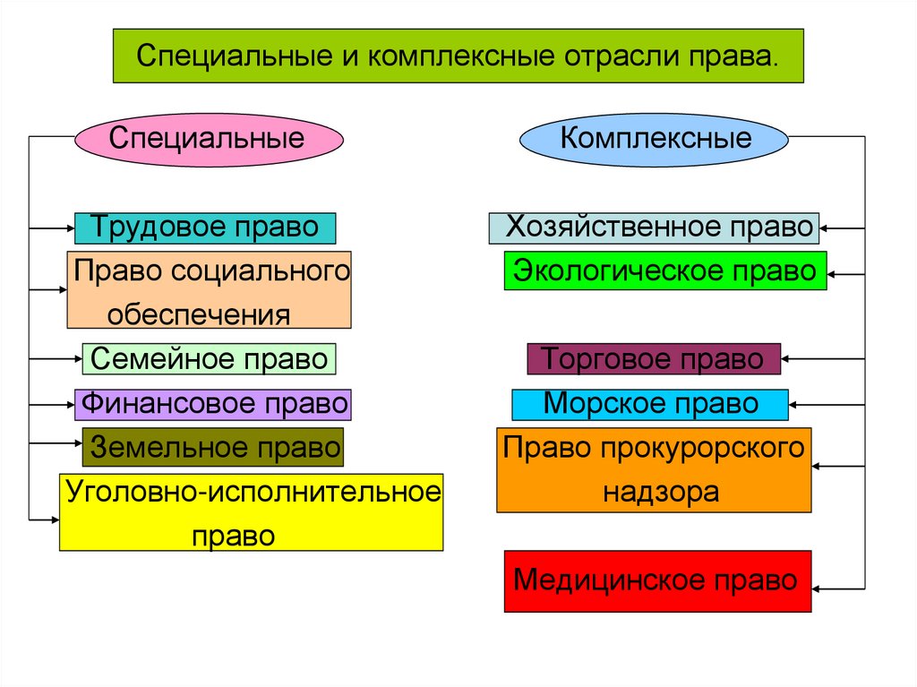 Специальные отрасли. Комплексные отрасли права примеры. Базовые специальные и комплексные отрасли права. Специальные отрасли и комплексные отрасли. Комплекснаятотрасль права.