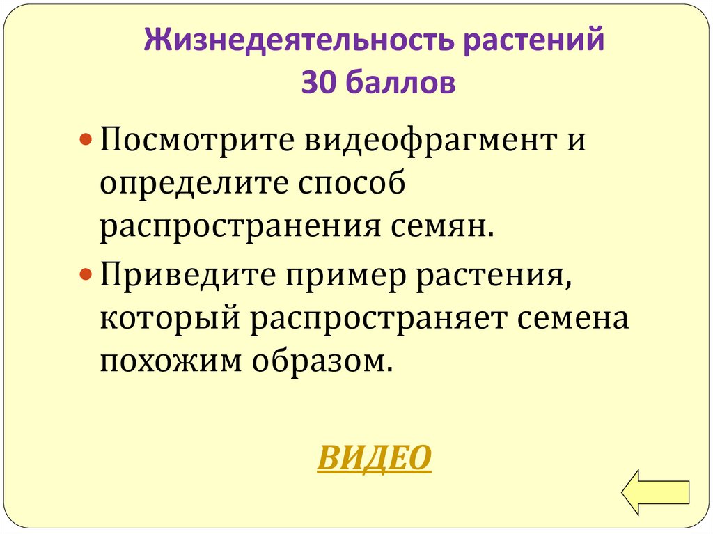 Установите соответствия особенности жизнедеятельности